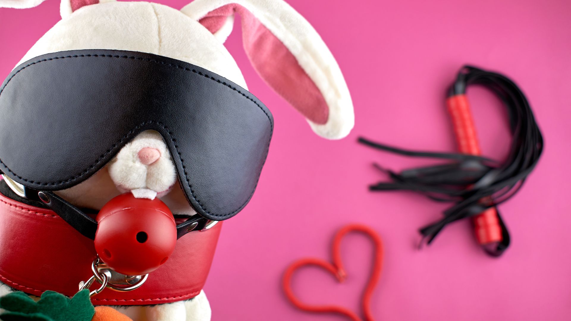 Everything You Need To Know About BDSM Toys