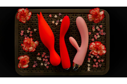 Adult Devices For A Female Submissive