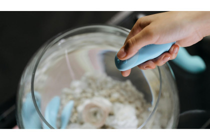 How to Introduce Food & Toys in the Bedroom?