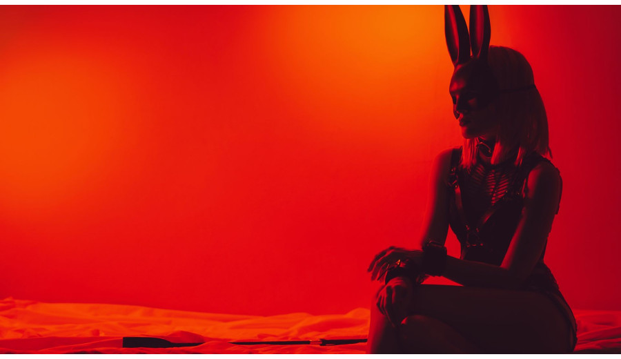 How To Choose BDSM Masks & Hoods?