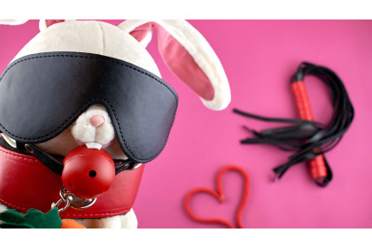Everything You Need To Know About BDSM Toys