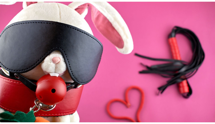 Everything You Need To Know About BDSM Toys