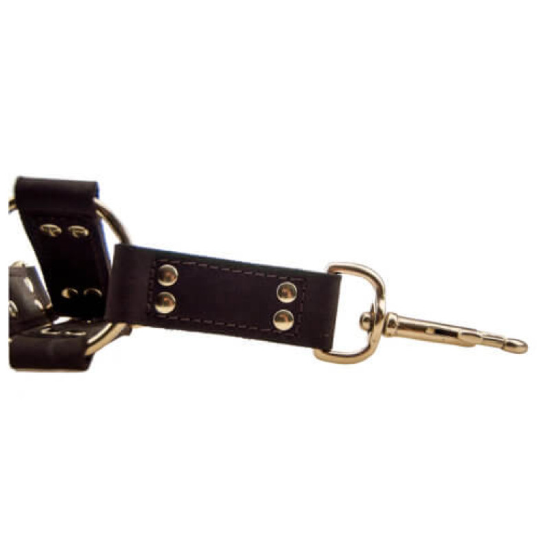 BOUND Nubuck Leather 4 Way Hog Tie
