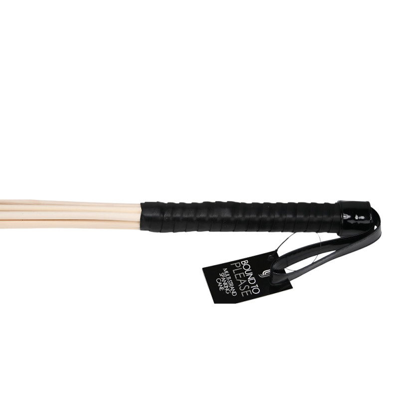 Bound to Please Multi-Strand Spanking Cane