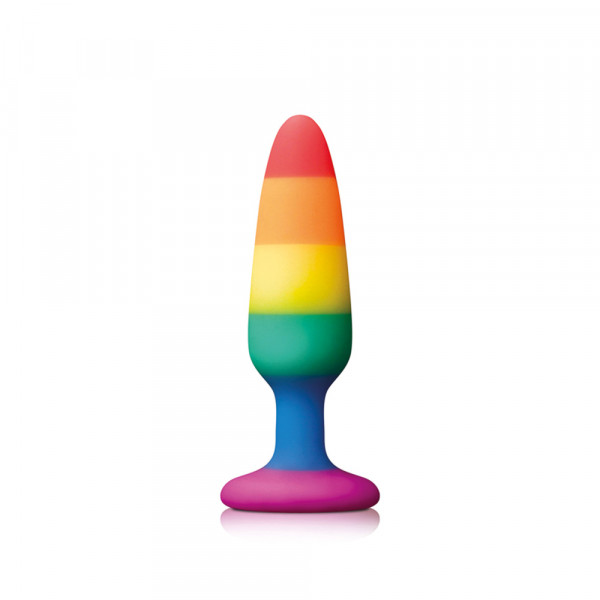 Pride Pleasure Plug Rainbow Small