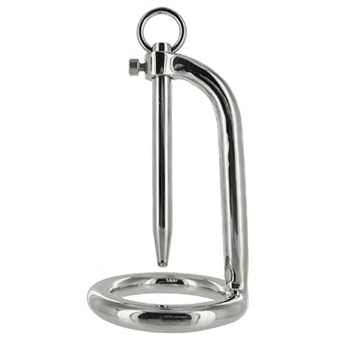Stainless Steel Cock Ring and Urethral Plug - For The Closet