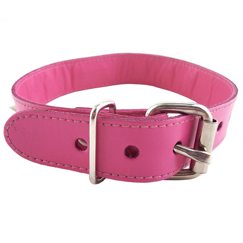 Rouge Garments Pink Studded ORing Studded Collar - For The Closet
