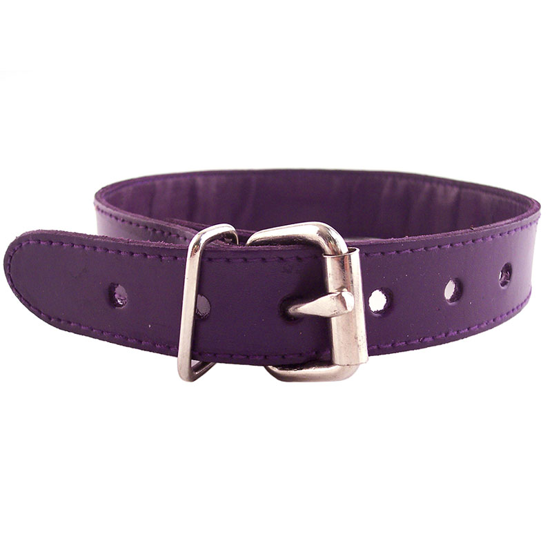 Rouge Garments Purple Studded ORing Studded Collar - For The Closet