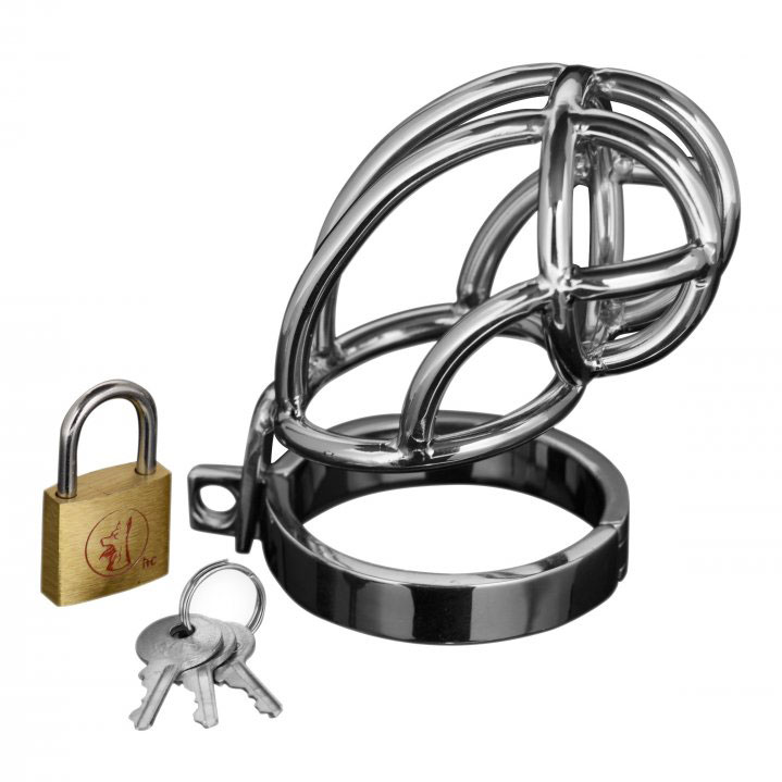 Captus Stainless Steel Locking Chastity Cage - For The Closet